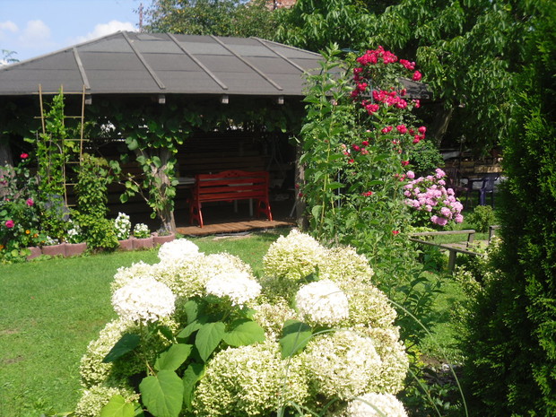 Altanka wśród róż