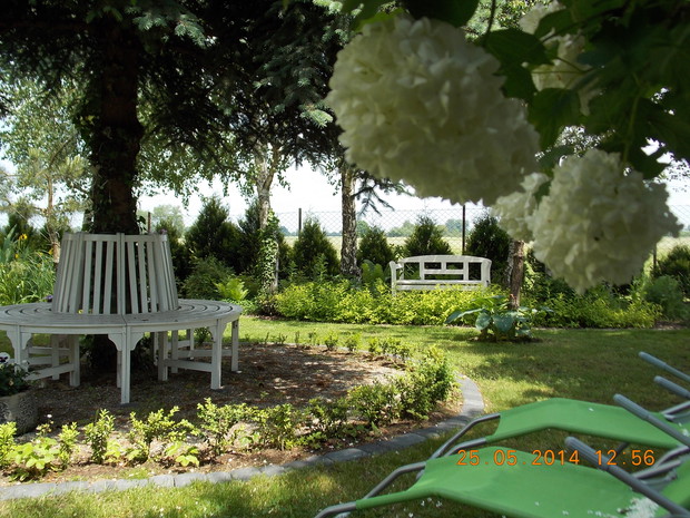 "Biały zakątek" w cienistej części ogrodu