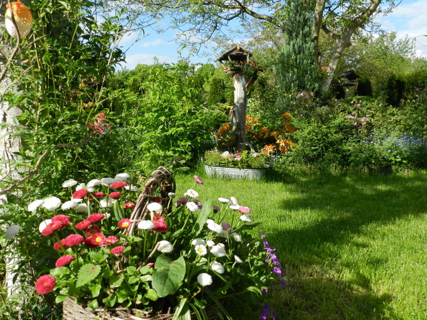 co roku kosze wiklinowe zapełaniam kwiatami,zdobią pnie drzew