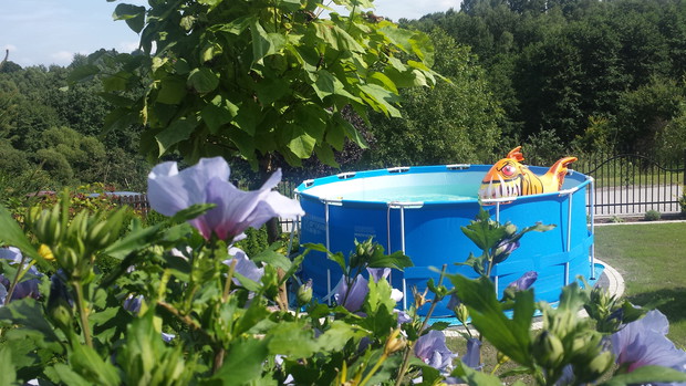 Dla ochłody  skok do wody ......