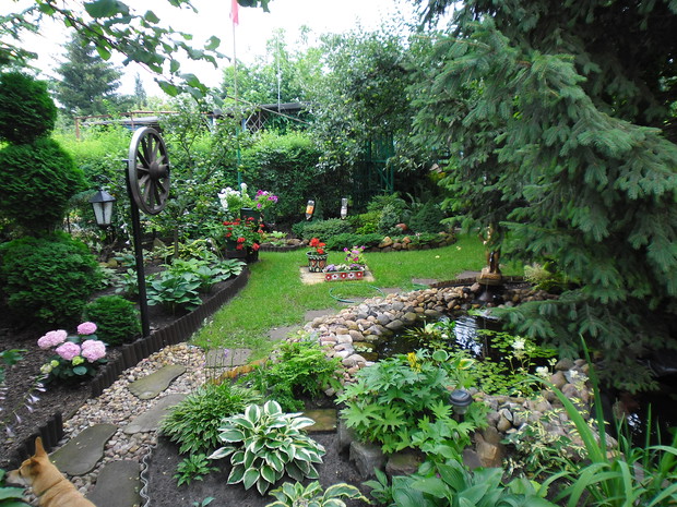 Główna alejka prowadząca do altanki