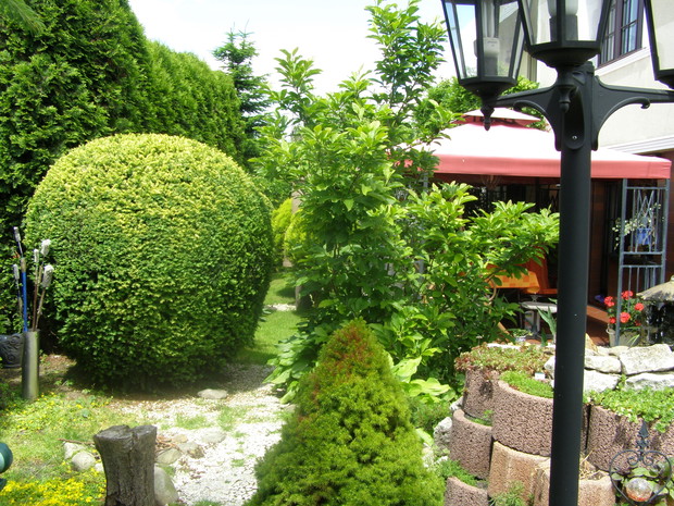 ....i gdzieś  w zakamarku ogrodu