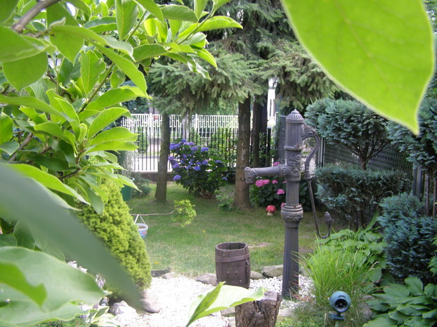 ....i studnia z woda oligoceńską 