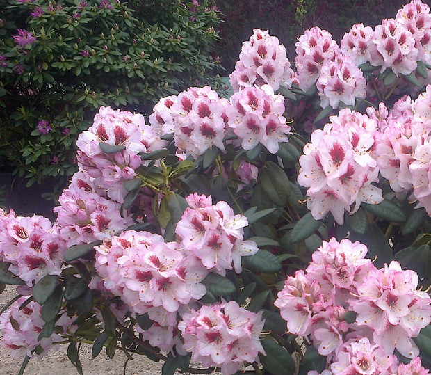 i tu jeszcze jeden :)