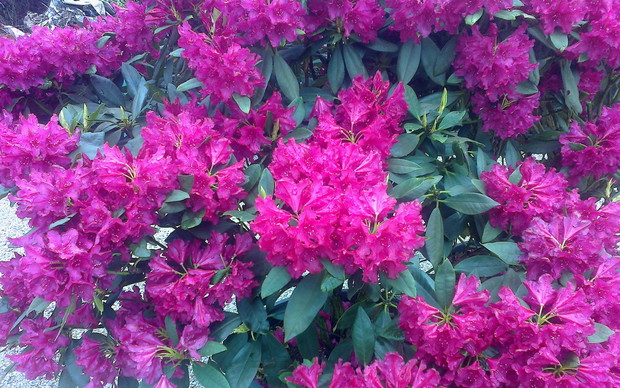 Jestem dumna z mojego wychowanka :)