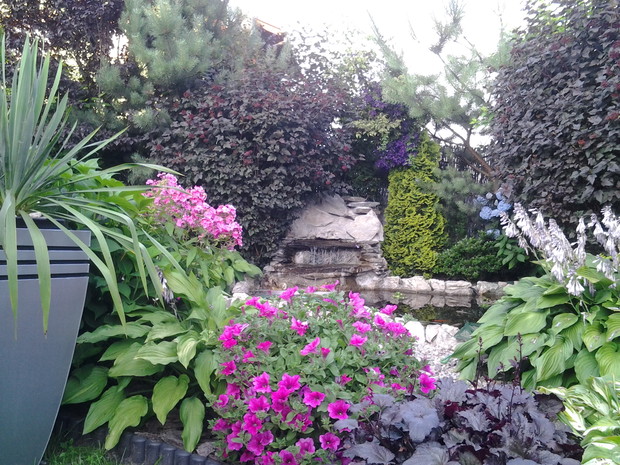  Kaskada i oczko wodne a w tle ogromne pęcherznice 