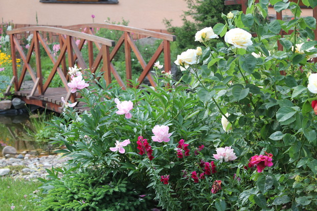 Kwiatowa rabata przy oczku