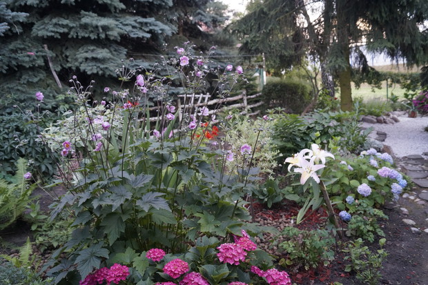 kwiaty i płotek z brzozy