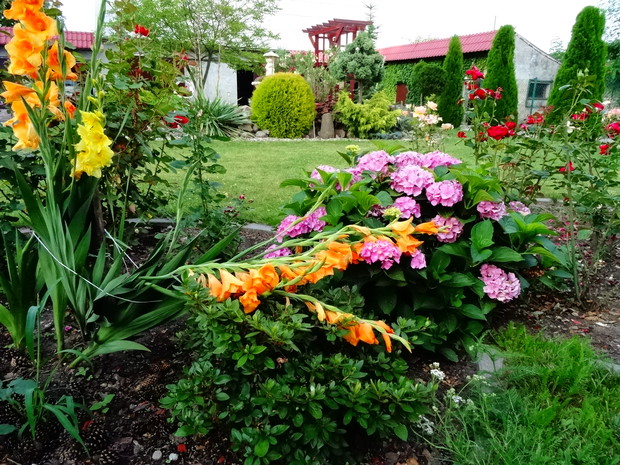 Kwiaty w całej swej okazałości