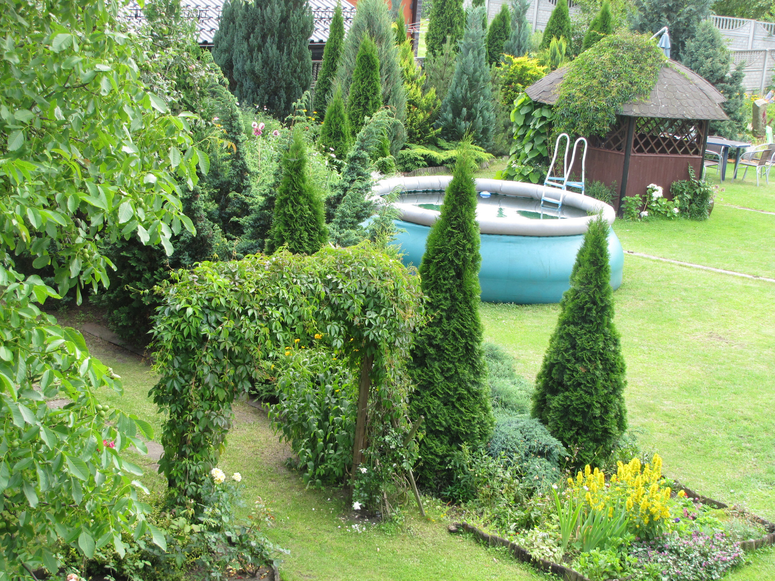 Latem, w tło zieleni wtapia się basen