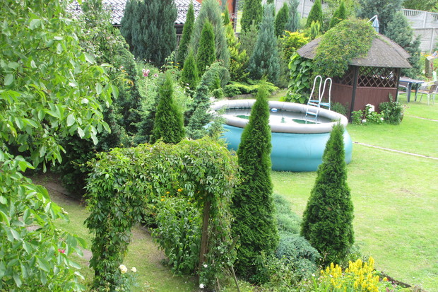 Latem, w tło zieleni wtapia się basen