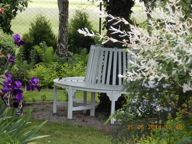 Ławka pod świerkiem