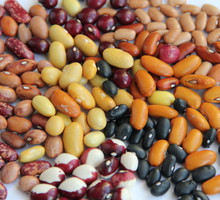 Mimo właściwości wzdymających, potrawy z fasoli mają dobroczynny wpływ na układ pokarmowy i sprzyjają normalizacji jego flory.