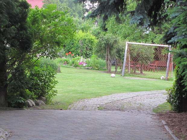 mini boisko sportowe