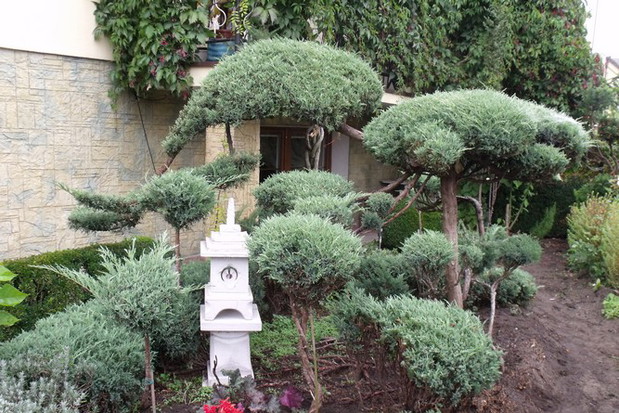 Mój przed ogródek ;)