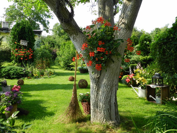 Nie wyobrażam sobie ogrodu bez pelargoni,wieszam,gdzie się da :)