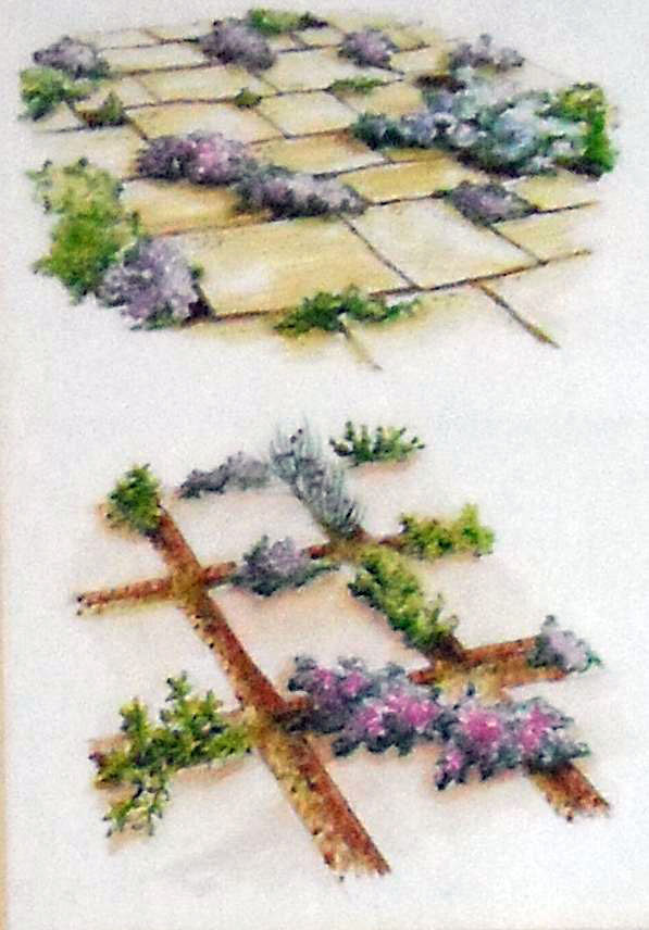 Niskie zioła, jak szałwia, majeranek, czy tymianek dobrze wyglądają między płytkami. Muszą mieć jednak przepuszczalne podłoże. Uzyskamy je, mieszając ziemię z piaskiem.