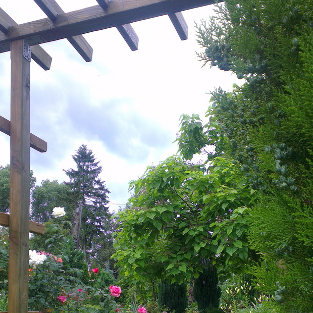 Nowe wejście do ogrodu