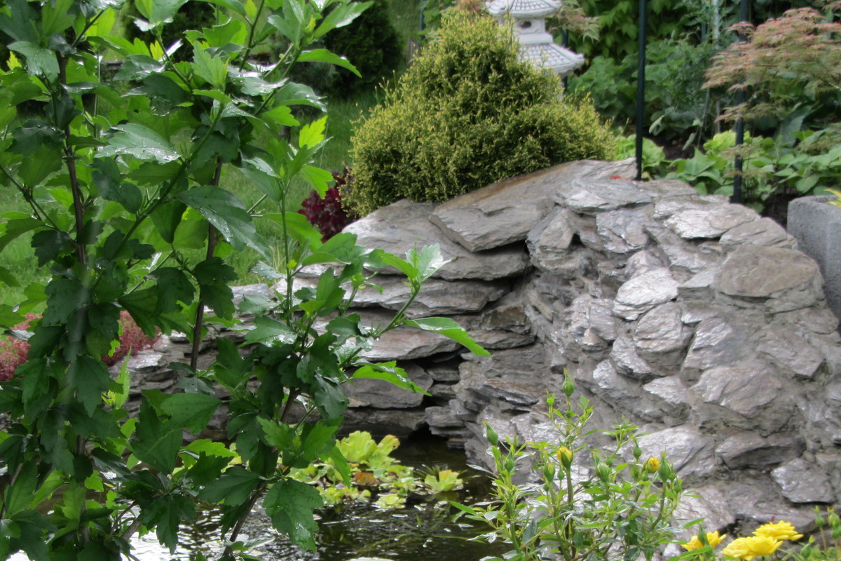 Oczko wodne w deszczu.