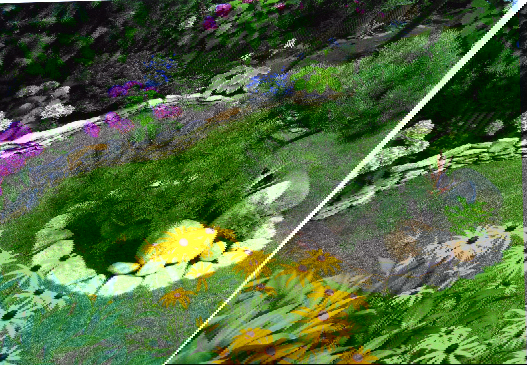 Pod powierzchnią 1 m² gleby długość wydrążonych przez dżdżownice korytarzy może być równa kilku kilometrom.