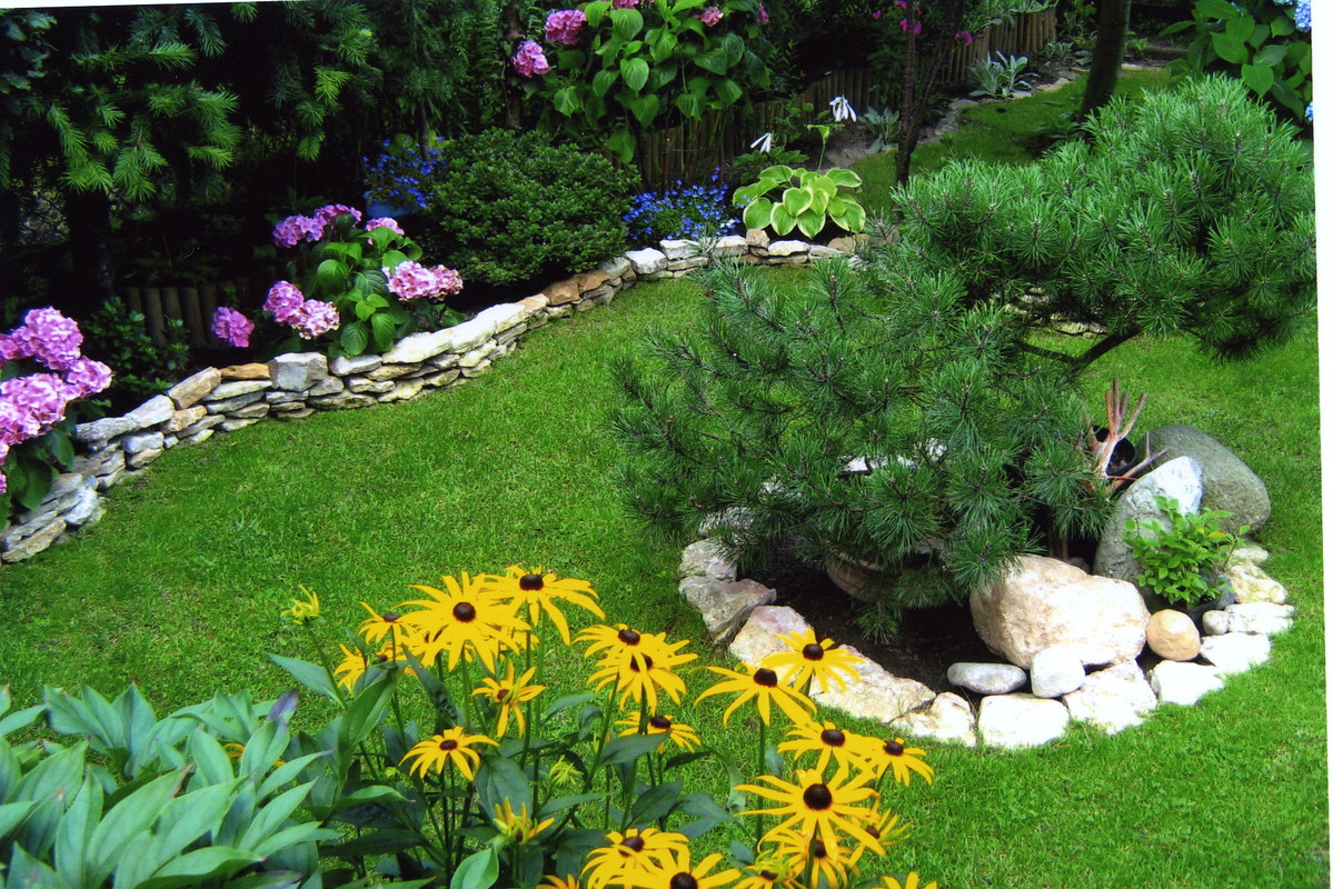 Pod powierzchnią 1 m² gleby długość wydrążonych przez dżdżownice korytarzy może być równa kilku kilometrom.