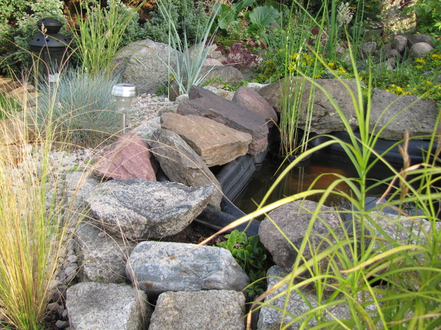 przekonać się do traw ozdobnych nie było łatwo