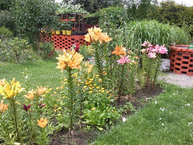 Rabata kwiatowa, na wiosnę kwitną tu narcyzy, hiacynty, tulipany i inne wiosenne. Potem lilie niskie i drzewiaste.