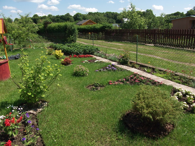 Rabaty na wykarczowanym trawniku.
