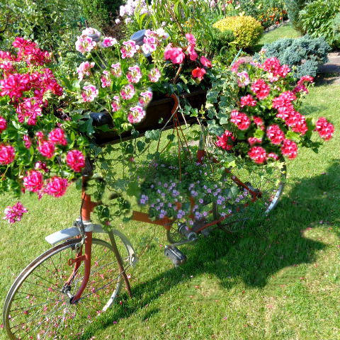 Rower odrodził się po 30 latach