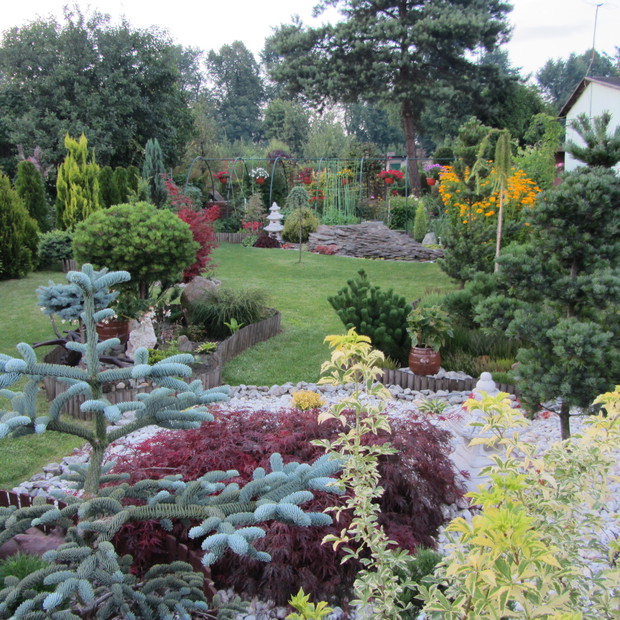 Rzut oka na jedną część działki.