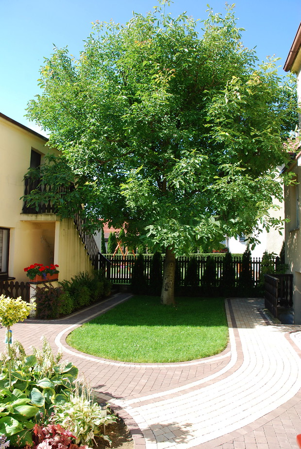 Schronienie przed upałem.