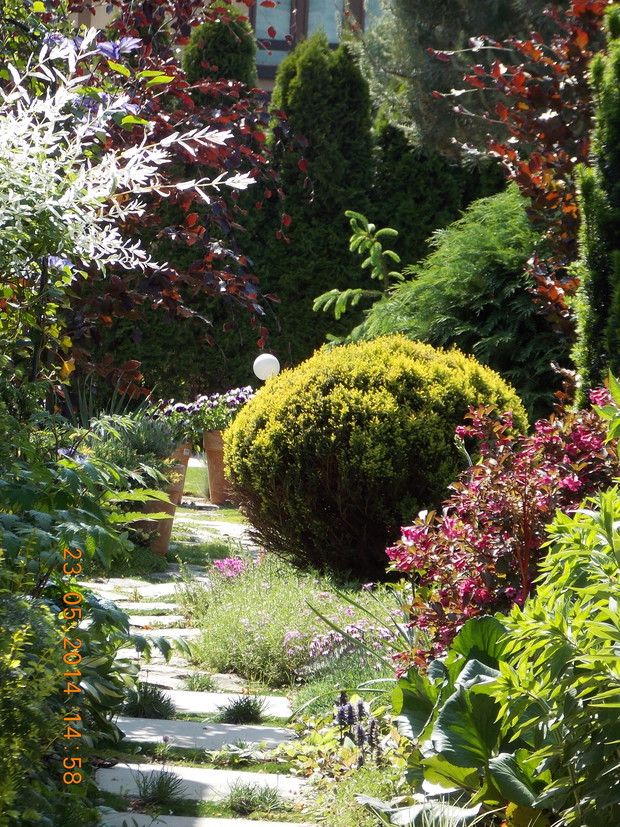 Ścieżka wśród krzewów i kwiatów