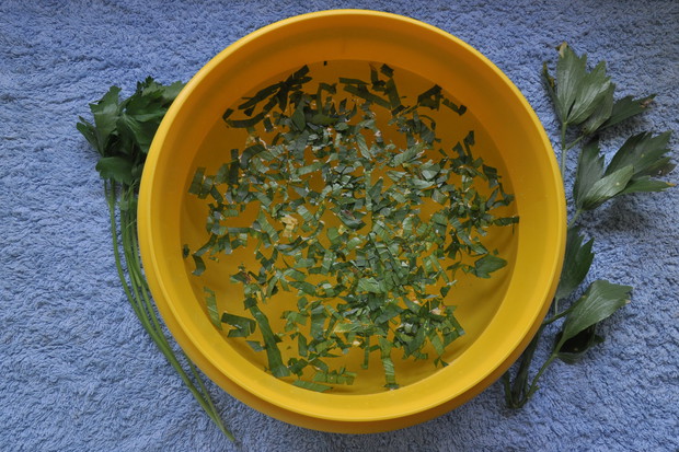 Sposób przygotowania odwaru. Suche lub zielone części roślin zalewamy chłodną wodą na kilka godzin. Potem gotujemy od 5 do 15 minut.