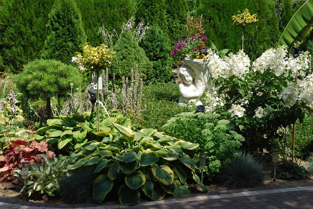 Świat funkii i hortensji.