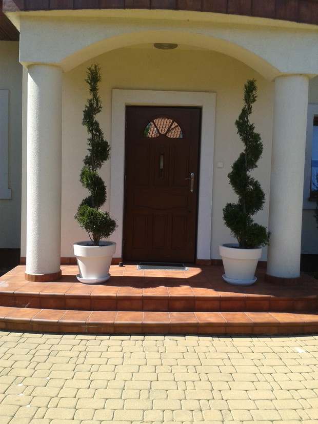 thuje formowane na spirale