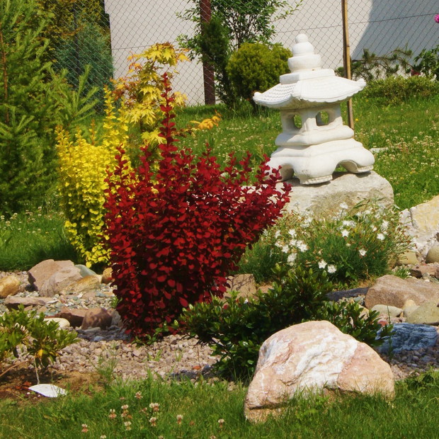 u brzegu suchej rzeki