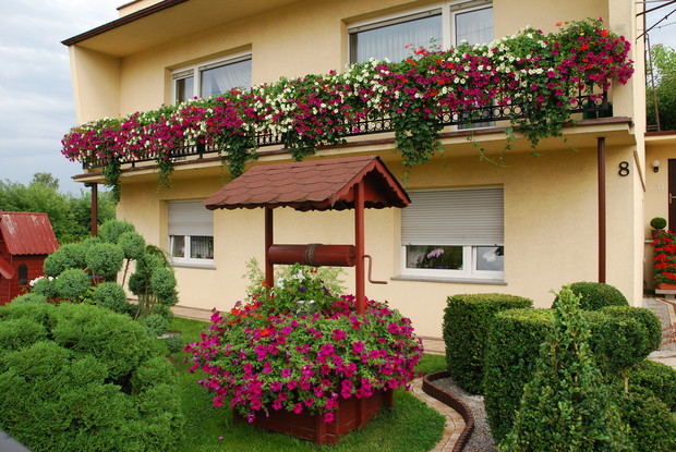 Ukwiecony balkon.