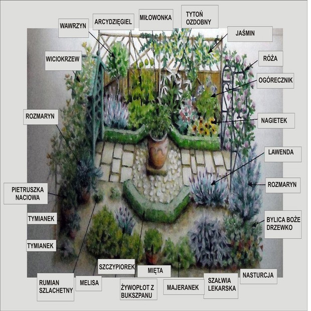 W wonnym ogrodzie w stylu wiejskim zioła rosną pomiędzy innymi gatunkami roślin.