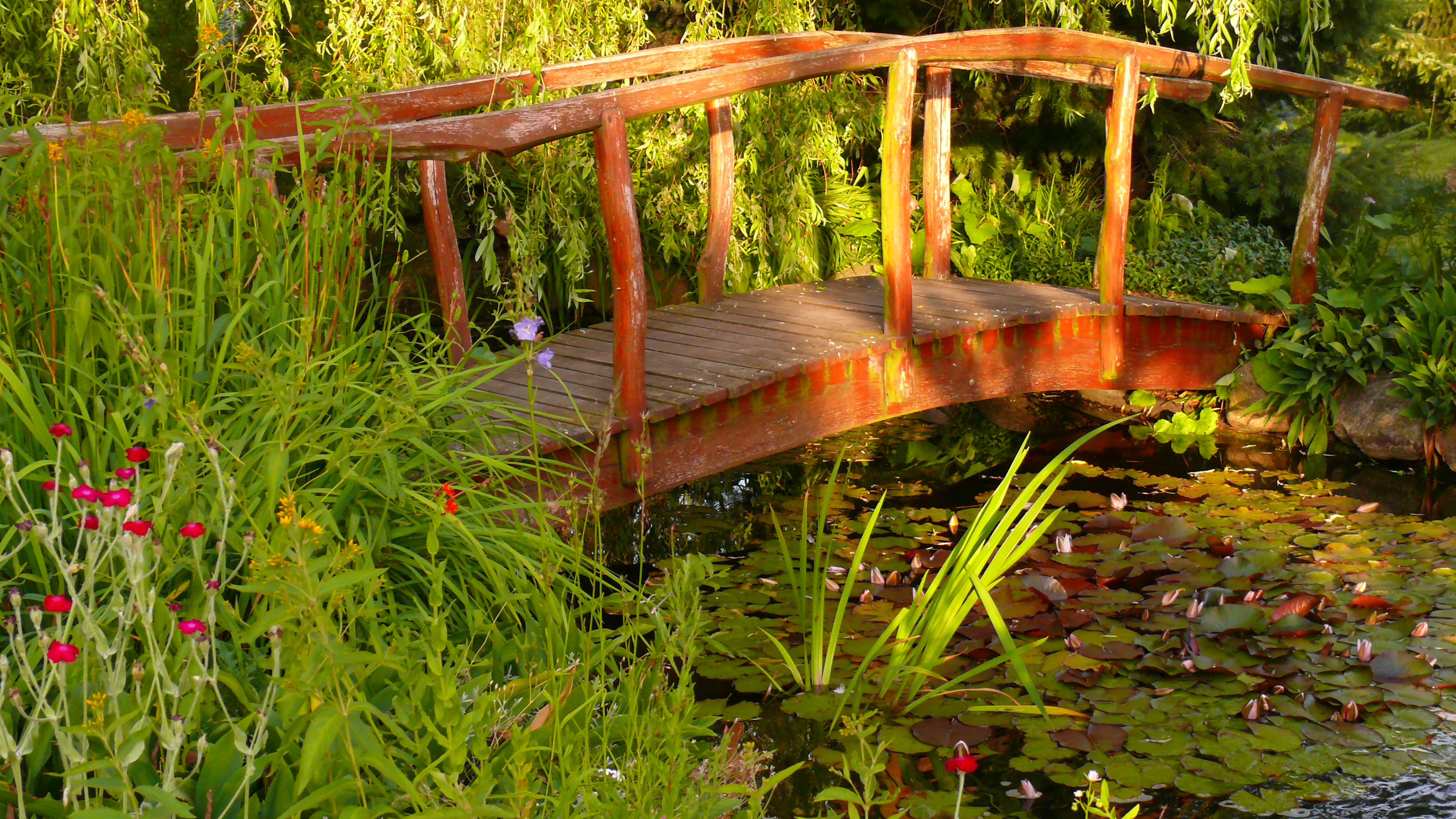 Widok na mostek i stawek od strony domu.