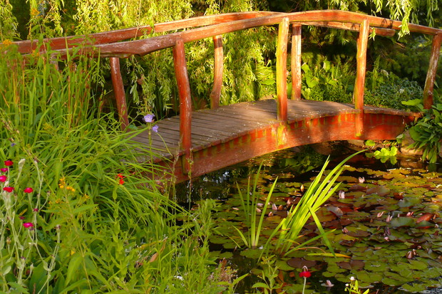 Widok na mostek i stawek od strony domu.