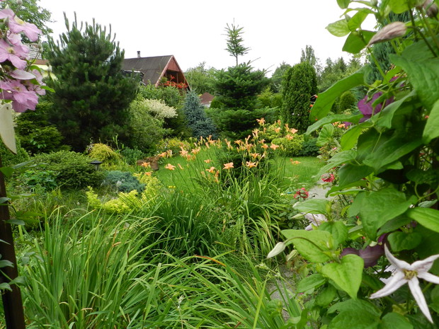 Widok na skalniak i rabatę z iglakami