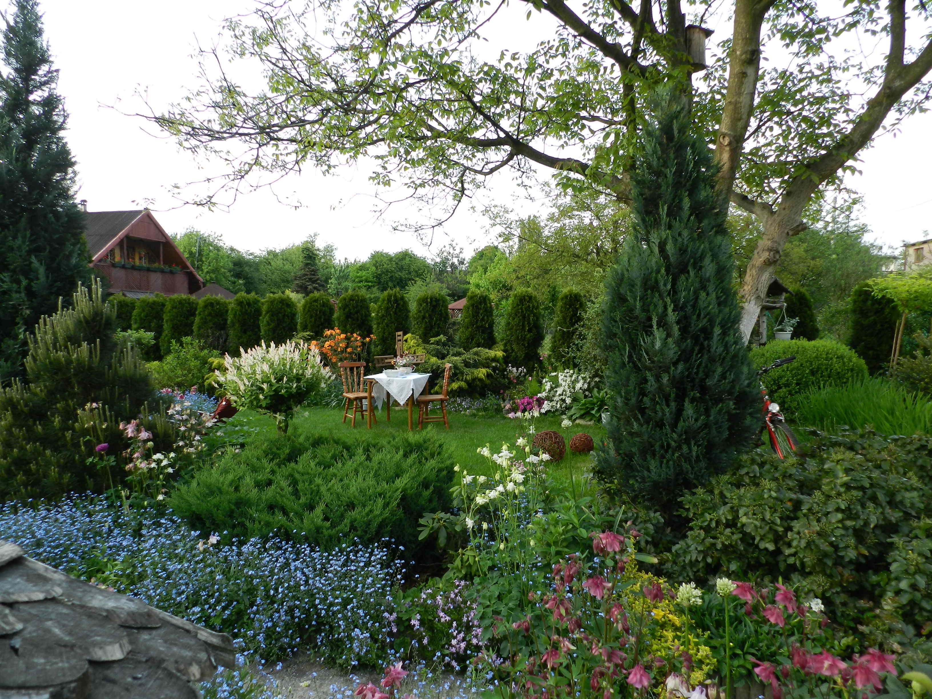 Wiosna jest najpiękniejsza