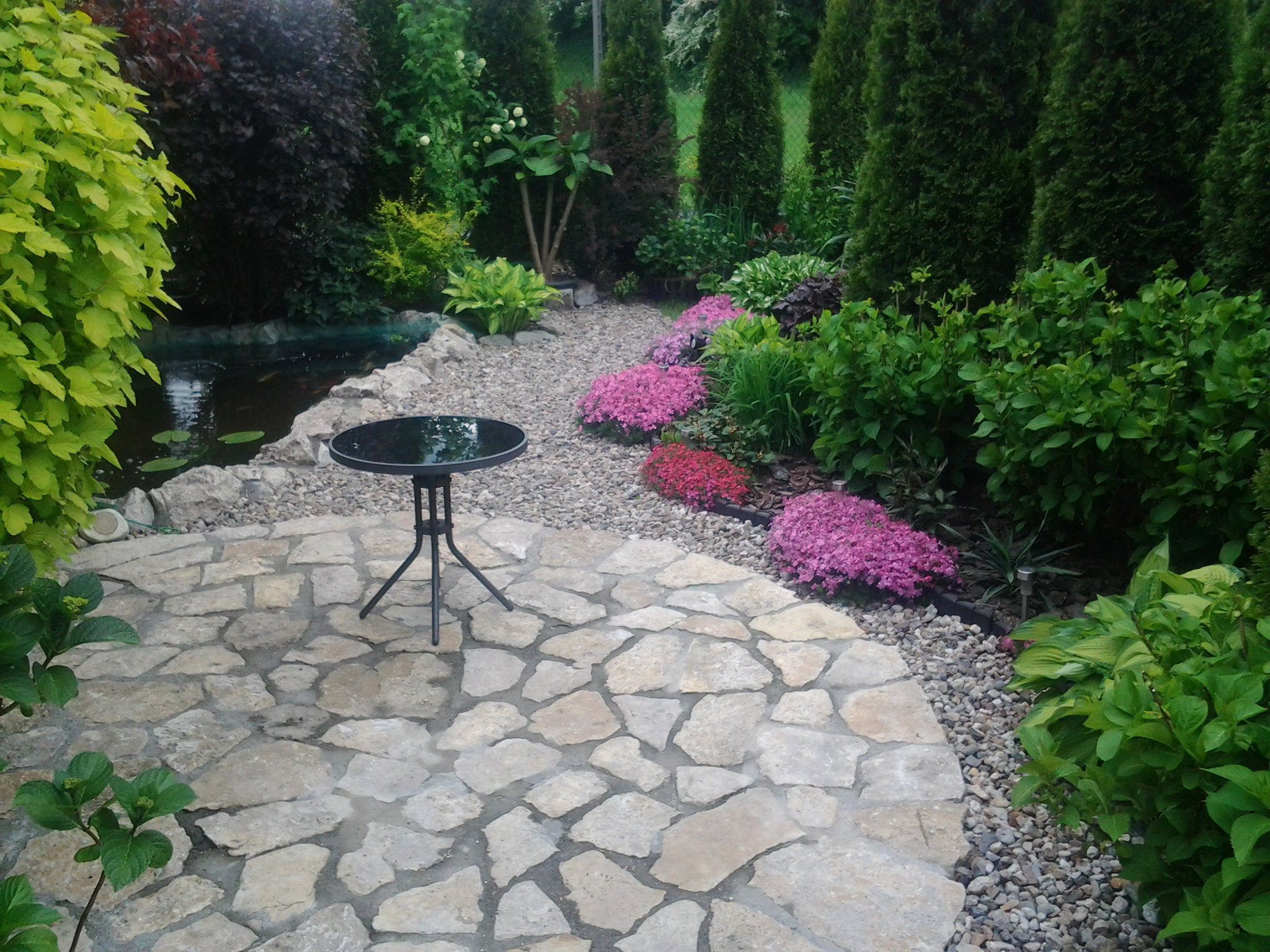 Wiosną zakwitają floksy szydlaste,które tworzą piękny dywan kwiatów