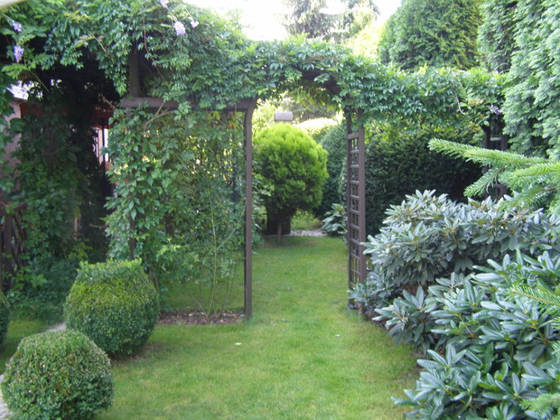 wiszący ogród z przegrodą wizualną i aleją różaneczników / niestety już bez kwiatów / .