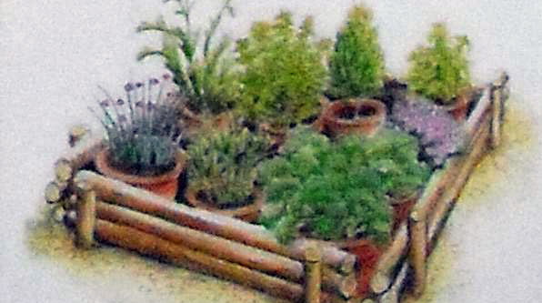 Wolne przestrzenie (np. rogi działki) pomoże zagospodarować podwyższona rabata. Zioła wsadzamy do przygotowanego w niej gruntu lub do donic, które ustawiamy jedna przy drugiej.