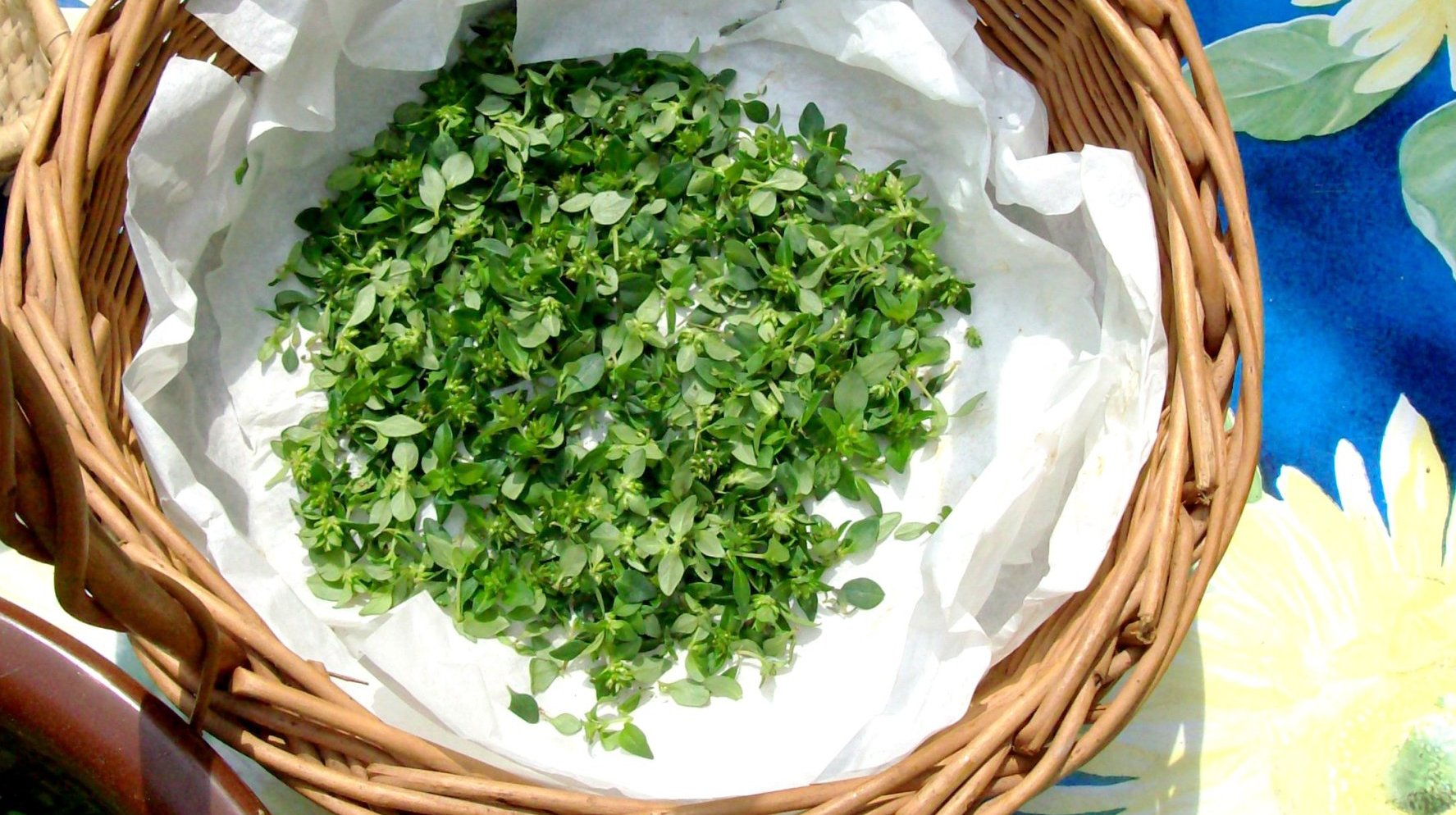 Wonne rośliny nie tylko poprawiają smak potraw, lecz także dostarczają łatwo przyswajalnych przez organizm witamin i minerałów.