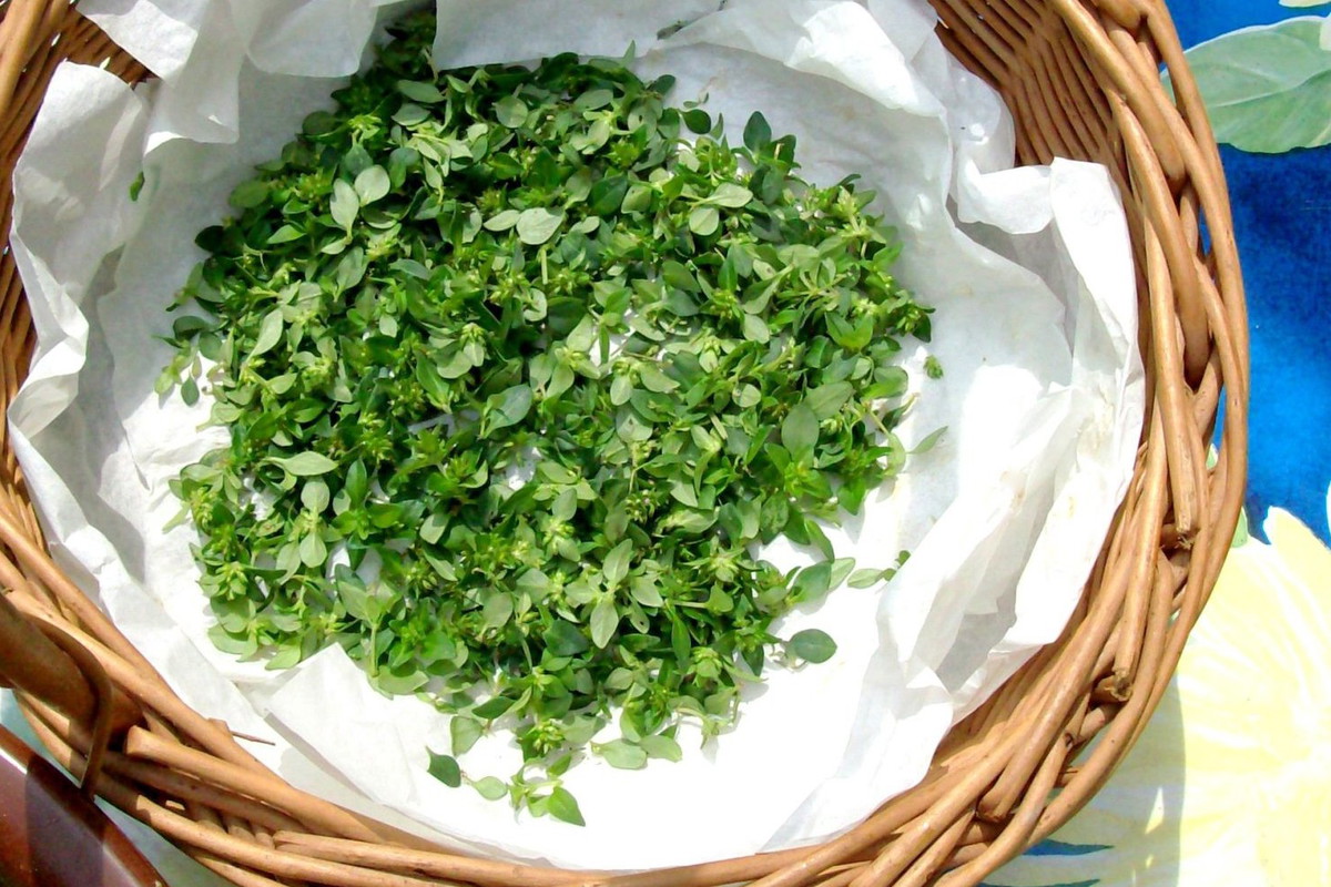 Wonne rośliny nie tylko poprawiają smak potraw, lecz także dostarczają łatwo przyswajalnych przez organizm witamin i minerałów.