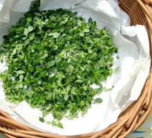 Wonne rośliny nie tylko poprawiają smak potraw, lecz także dostarczają łatwo przyswajalnych przez organizm witamin i minerałów.