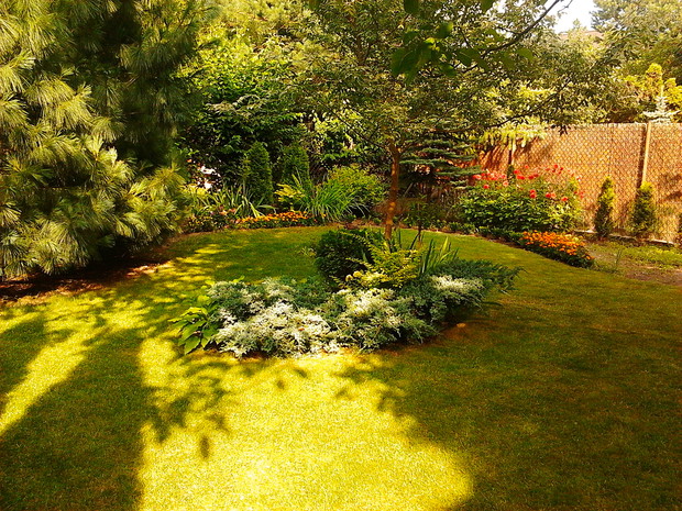 Wysepka na środku trawnika