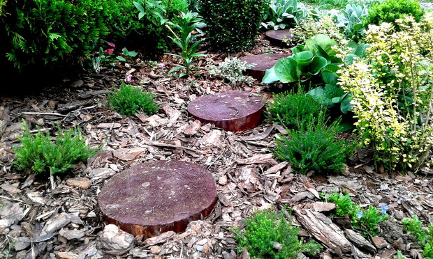 Zakładam wrzosowisko